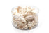pearl coral and shell pack